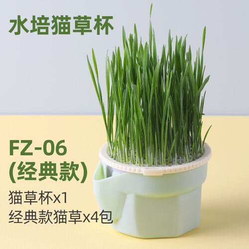 森森无土水培化毛懒人自种猫草