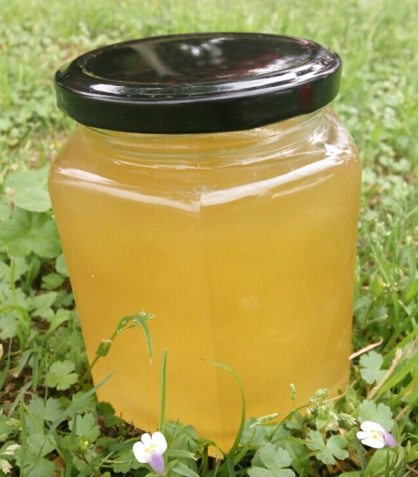 新鲜枇杷花土蜂蜜蜂场自产原生态纯天然冬蜜结晶封盖成熟