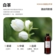 【Hot Sale✅five-Star Hotel Good-Good для выкупа】-White Tea 300 мл ароматерапевтического пополнения жидкость