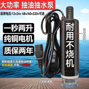 48v60v电动车抽水泵220v家用浇水泵园林抽水机12v24v抽油泵潜水泵