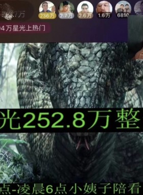 陌陌无人直播电影电视剧影视版权