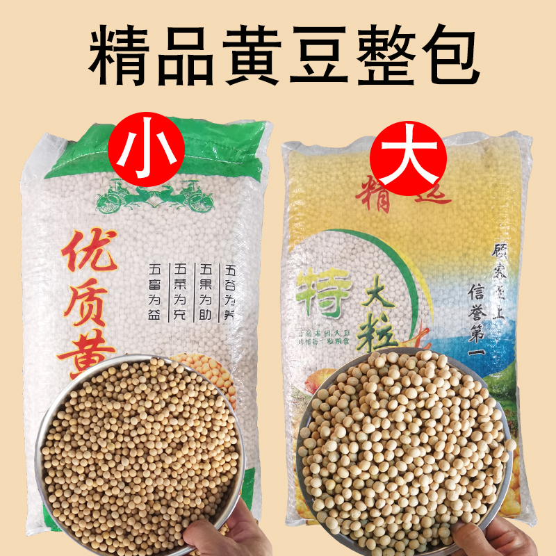 东北大黄豆小黄豆商用大包装