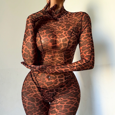 2026 Fashion New Arrival: Leopard-Print Round-Neck Long-Slee