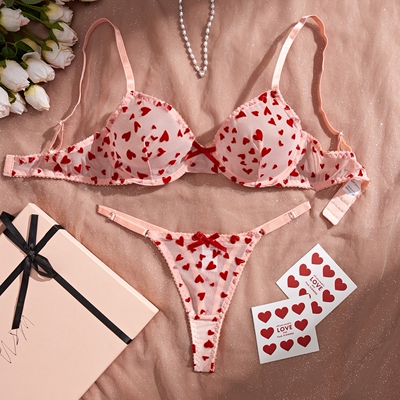 Underwear Set Sexy Perspective Mesh Love Embroidery Gather B