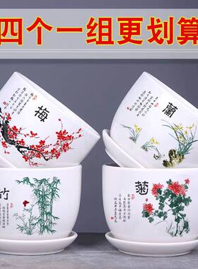 简约绿萝花盆兰花花盆