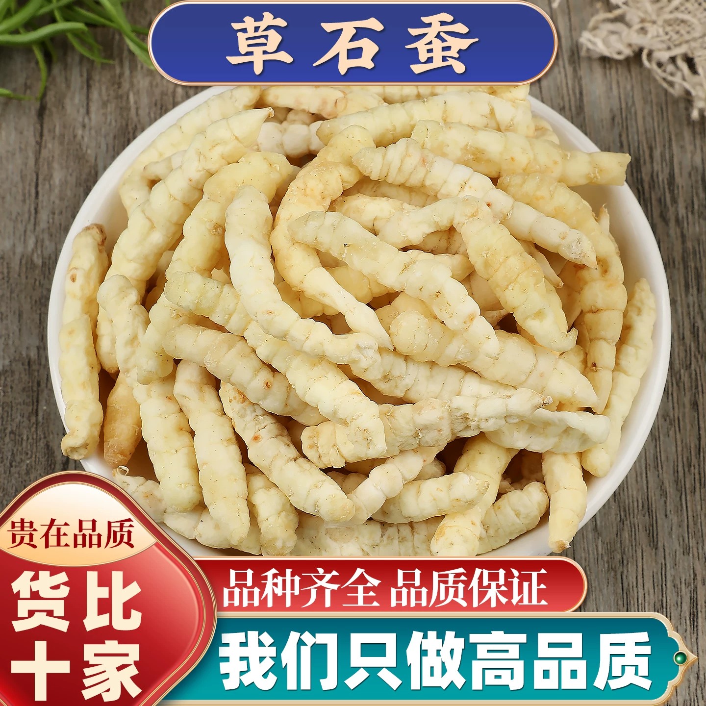 虫草参中药材精选新货草石蚕完整大个饱满原色干净无杂晾晒干无硫