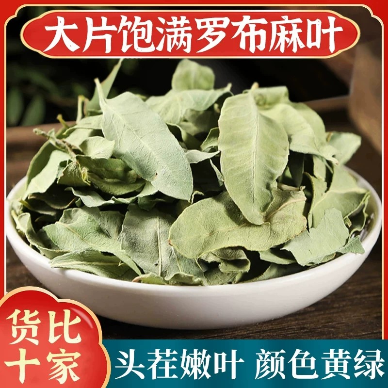 罗布麻叶中药材正品罗布麻茶叶精选无硫新鲜新货干货质地酥脆翠绿