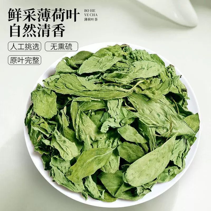 正宗薄荷叶新鲜干货中药材蕃荷叶食用纯天然清凉花草薄荷泡茶泡水