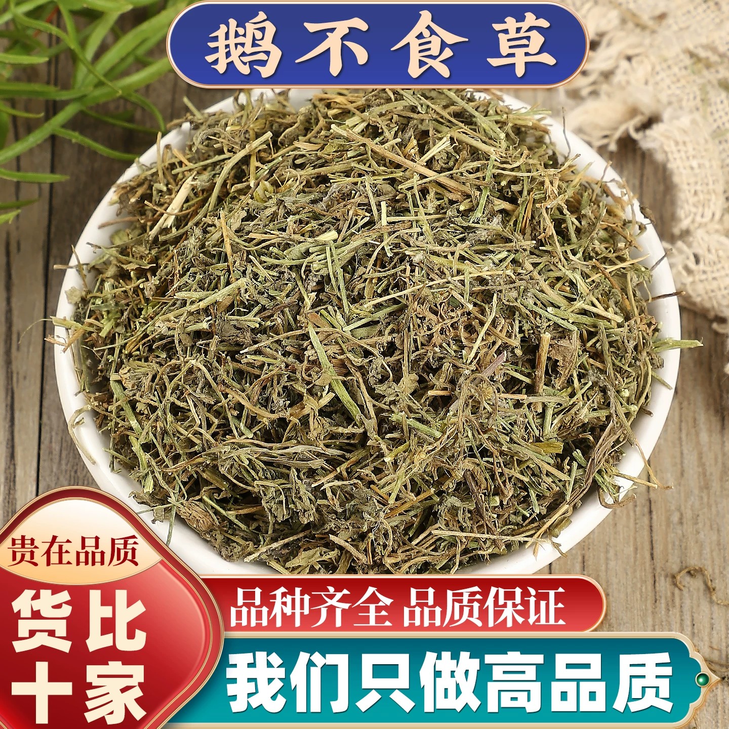 鹅不食草中药材新鲜干草鹅不石草自然晾晒干货无硫熏色泽自然无杂