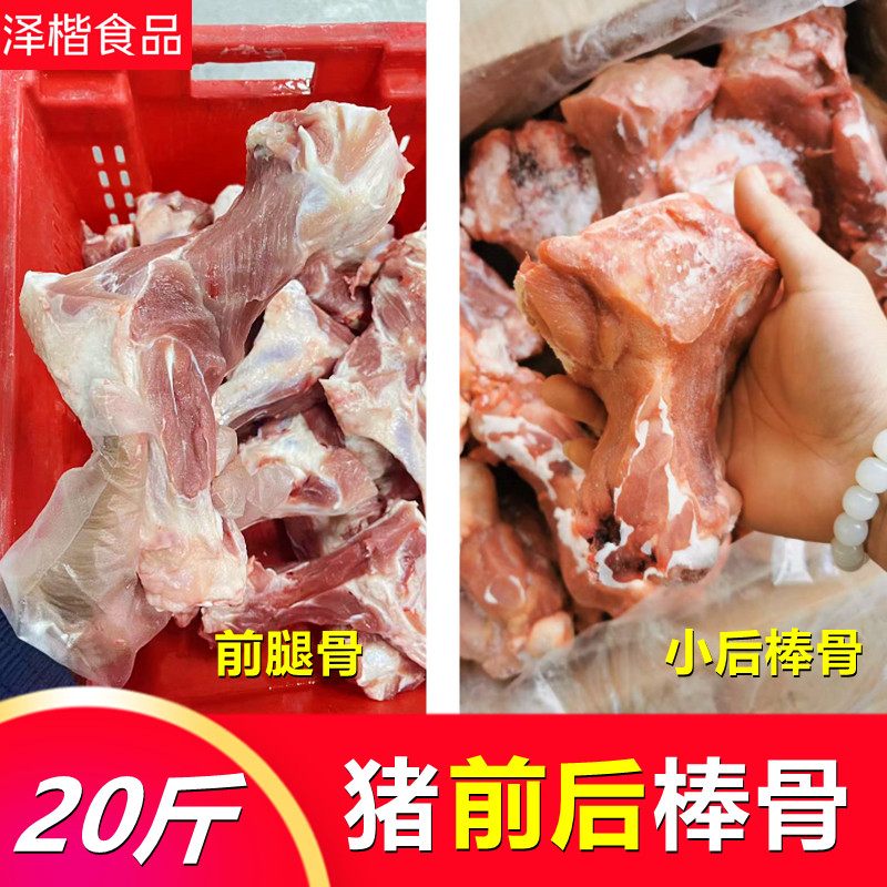 多肉猪棒骨前棒骨筒子骨后棒