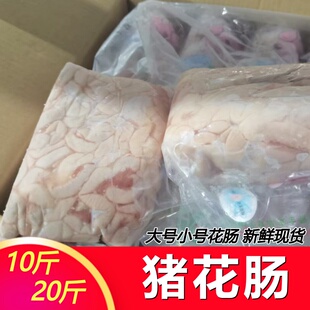 生鲜猪花肠猪生肠猪儿肠猪盘肠猪子宫猪房子猪脆肠猪子肠10斤20斤