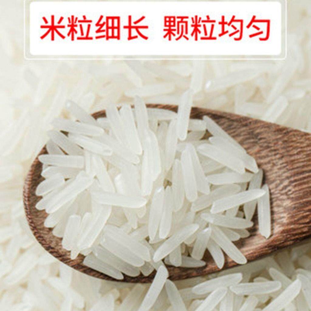 新大米10斤20斤南方泉水籼米