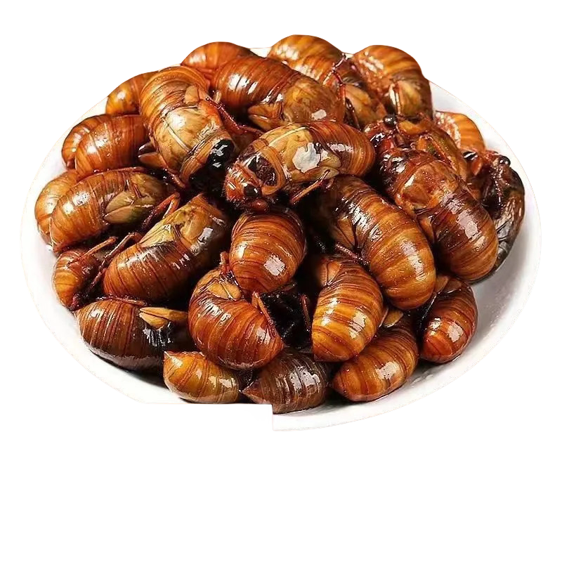 山东特产炸金蝉新鲜蝉蛹即食油炸