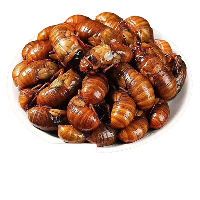 山东特产炸金蝉新鲜蝉蛹即食油炸
