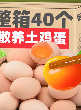 TJD河南网红爆款鸡蛋大王农家散养土鸡蛋新鲜初生蛋40g/枚橙心蛋