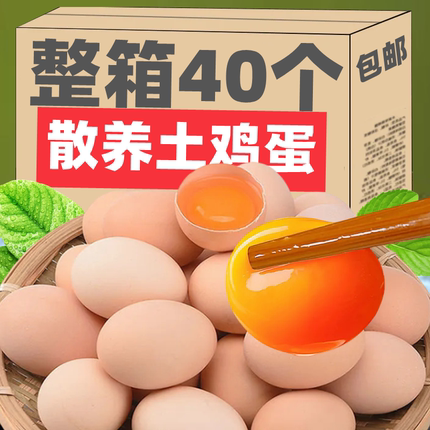 TJD河南网红爆款鸡蛋大王农家散养土鸡蛋新鲜初生蛋40g/枚橙心蛋