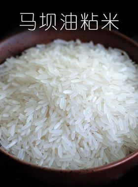 DB大米20斤马坝油粘米10kg农家自产长粒香大米2021年米五常稻花香
