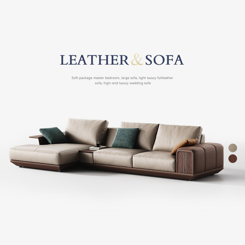 真皮沙发现代轻奢家用贵妃沙发