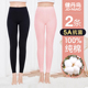 女士薄款 冬季 抗菌大码 线裤 透气全棉毛打底衬裤 健丹鸟纯棉保暖秋裤