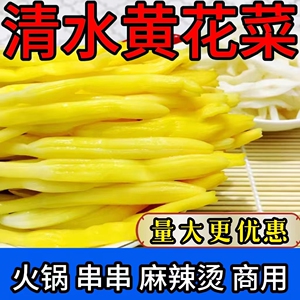 清水黄花菜凉拌原料金针菜火锅麻辣烫餐饮商用食材