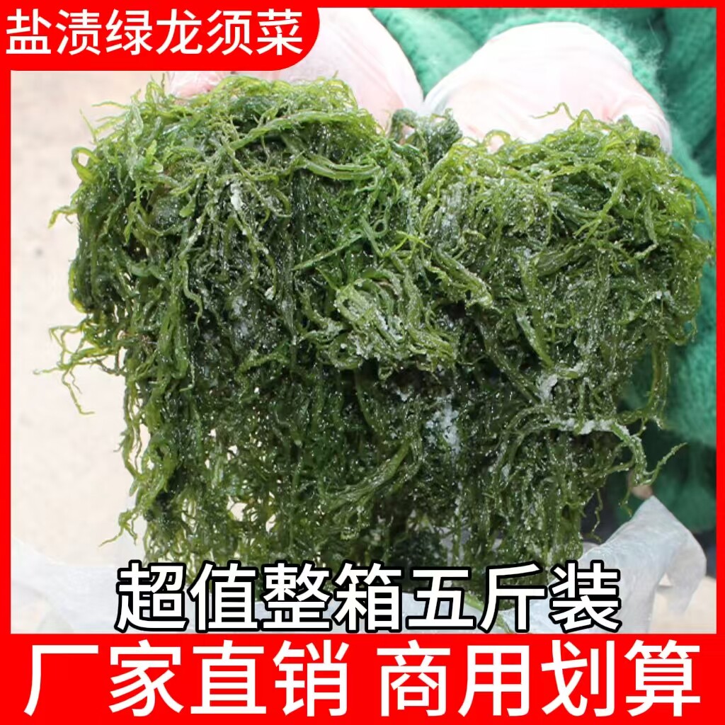 盐渍龙须菜新鲜海菜海藻火锅凉拌菜石花菜食材海草发菜商用家用