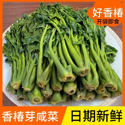 香椿芽咸菜山东特产新鲜腌制香椿芽开袋即食下饭菜酱菜