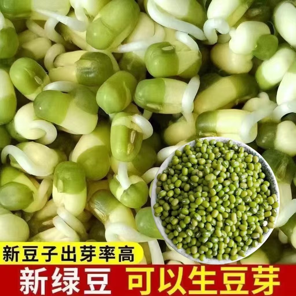 绿豆芽菜牙苗绿菜豆籽芽用豆芽绿豆芽,粮油调味/速食/干货/烘焙,绿豆,淘宝优惠券,粉丝福利购,淘宝优惠卷
