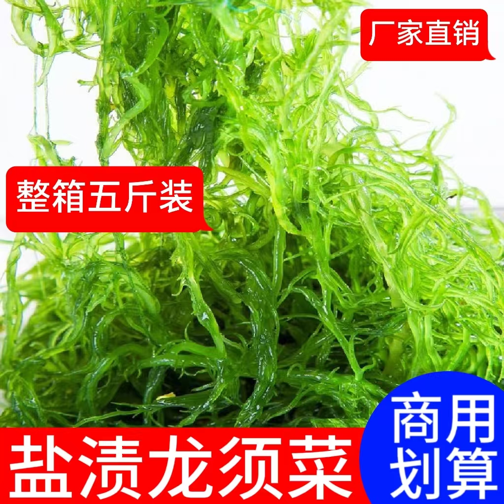 盐渍龙须菜新鲜海菜海藻火锅凉拌菜石花菜食材海草发菜商用家用