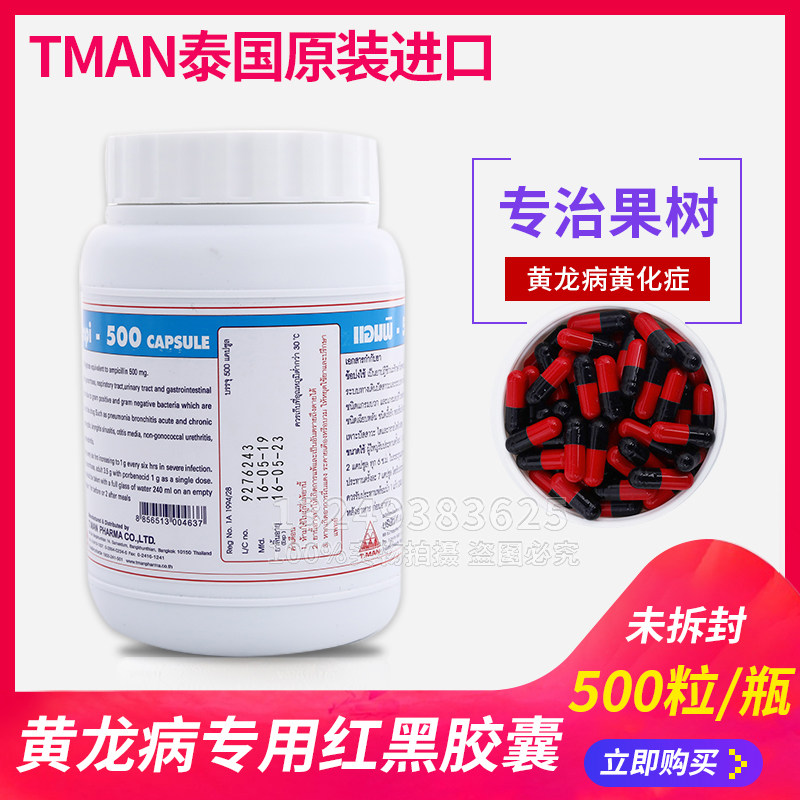 泰国红黑胶囊果树黄龙病柑橘树黄