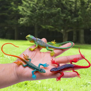 12款仿真小蜥蜴模型软胶动物四脚蛇爬行昆虫壁虎类整蛊沙盘玩具