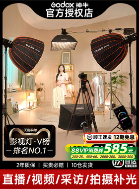 Godox神牛LE200Bi/LE300Bi/LE600Bi影室摄影双色温补光灯主播直播视频拍摄专业影视灯影棚LED常亮灯