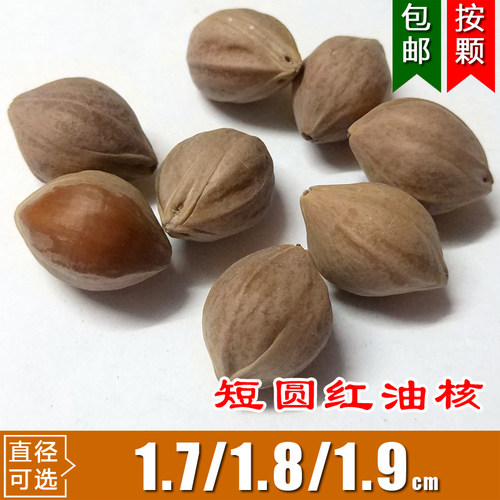 橄榄核短圆核罗汉头铁核雕手串
