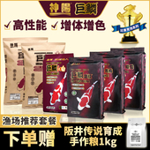 巨鳞锦鲤鱼饲料高蛋白增色增体专用鱼粮鱼食渔场赛级套餐