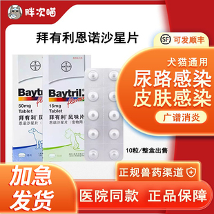 拜有利baytril恩诺沙星风味片犬猫消炎抗菌泌尿路感染感冒脓皮症