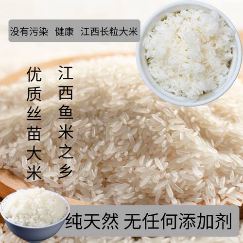 丝苗长粒香大米20斤当季新米10kg