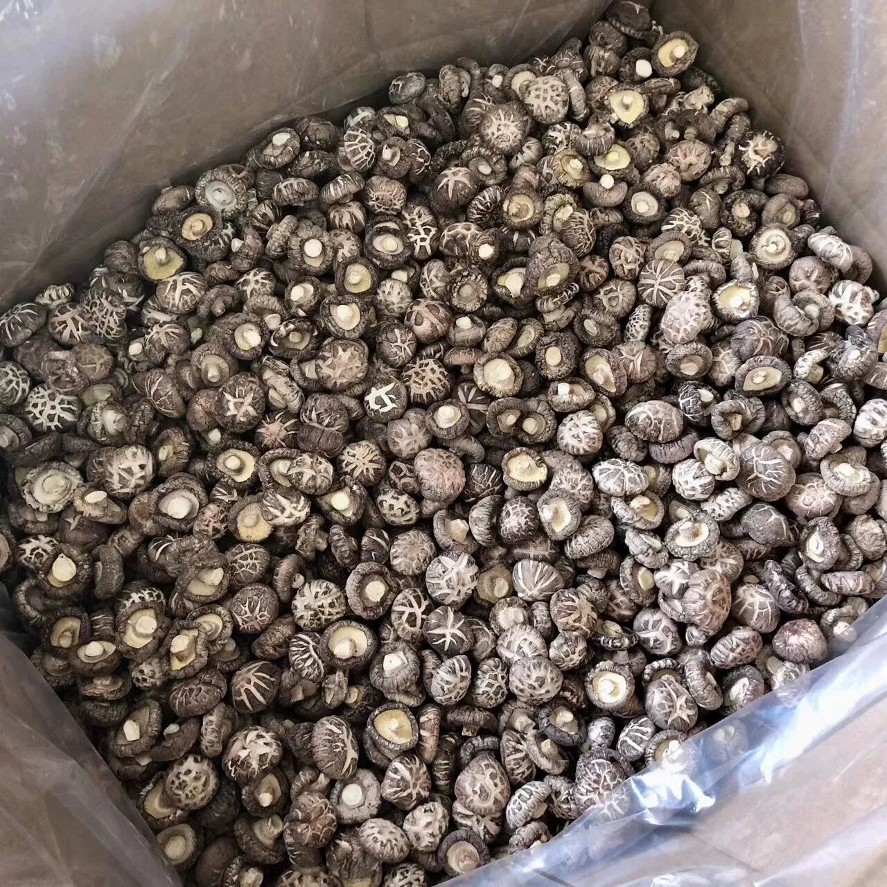 农家自制香菇干货 干香菇 冬菇 黄焖鸡米饭香菇 批发 散装 1斤装