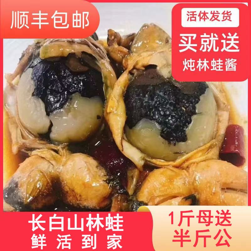 特产新鲜现捞鲜嫩多汁牛蛙