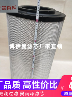 唐纳森P781098 P781102空气滤芯通用维特根194179 194180空气滤芯