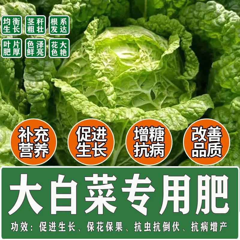 大白菜专用肥料蔬菜包菜甘蓝青菜花菜苗颗粒缓释肥可水溶原装化肥