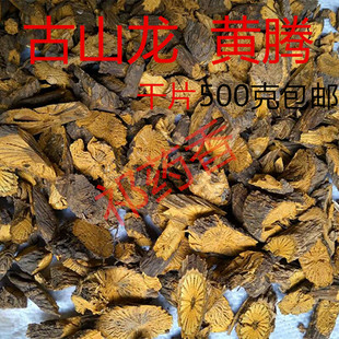野生中药材藤黄连 黄藤 假黄连 大黄藤 古山龙 新货干品500克