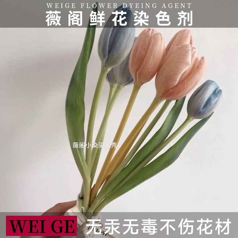 30色花店专用鲜花染色剂吸色剂