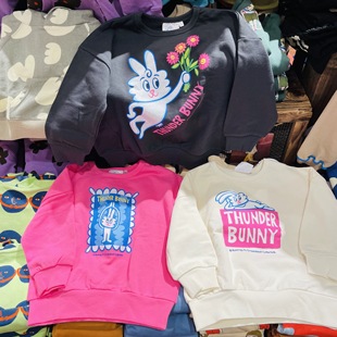 可爱 女童装 小兔子 运动装 纯棉毛圈卫衣 原D
