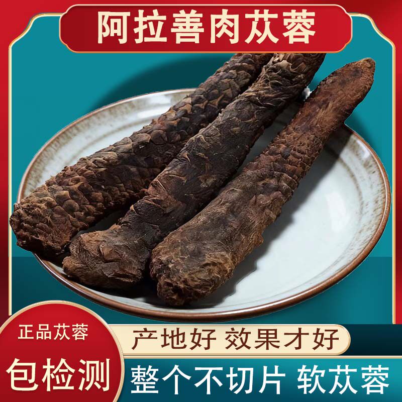 肉苁蓉中药材正品阿拉善肉苁蓉沙漠人参软大芸泡茶泡酒泡水