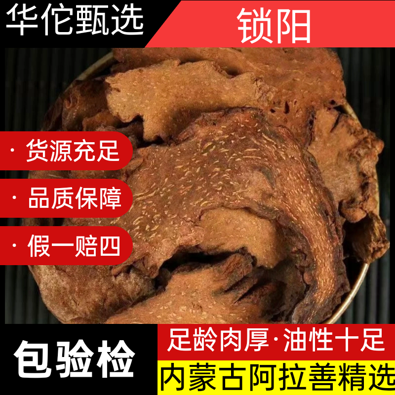 锁阳药材泡酒料阿拉善金锁阳500g男性滋补锁阳片打粉可配肉苁蓉