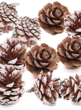 PineCones 3 to 4cm Natural Pine Cones for Christmas e Decor