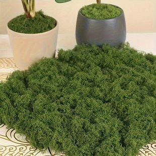 DIY Crafts Grass Green Faux Moss Artificial Preser Fake
