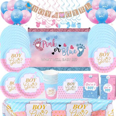 Pink Blue Boy Or Girl Gender Reveal Baby Shower Party Dispos