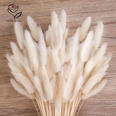 60pcs Mix Bunny Rabbit Tails Grass Dried Flowers Bouquet Boh