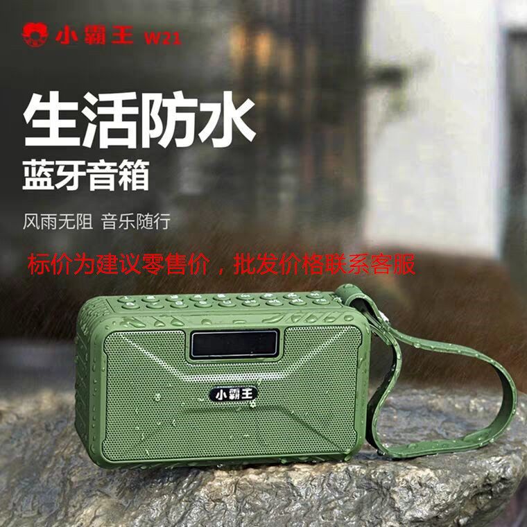 2020新款小霸王W21蓝牙音箱便携式收音机录音机插卡插U盘小型音箱