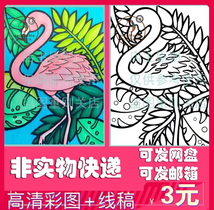 线稿彩图火烈鸟鹦鹉猫咪动物可爱范画儿童画素材发网盘不退不换